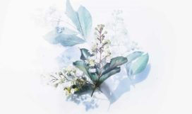 evie-shaffer-501641-unsplash evie-shaffer-501641-unsplash